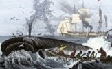 History of Whaling