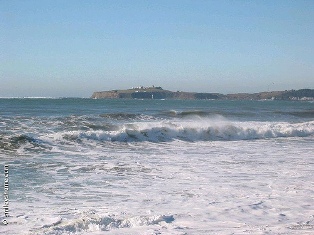 whale watching san fransisco