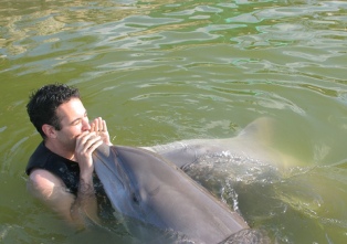 swimming with dolphins in florida