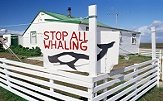 Arguments Against Whaling