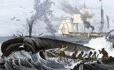 History of Whaling